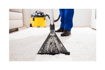 Institutional Carpet Cleaning